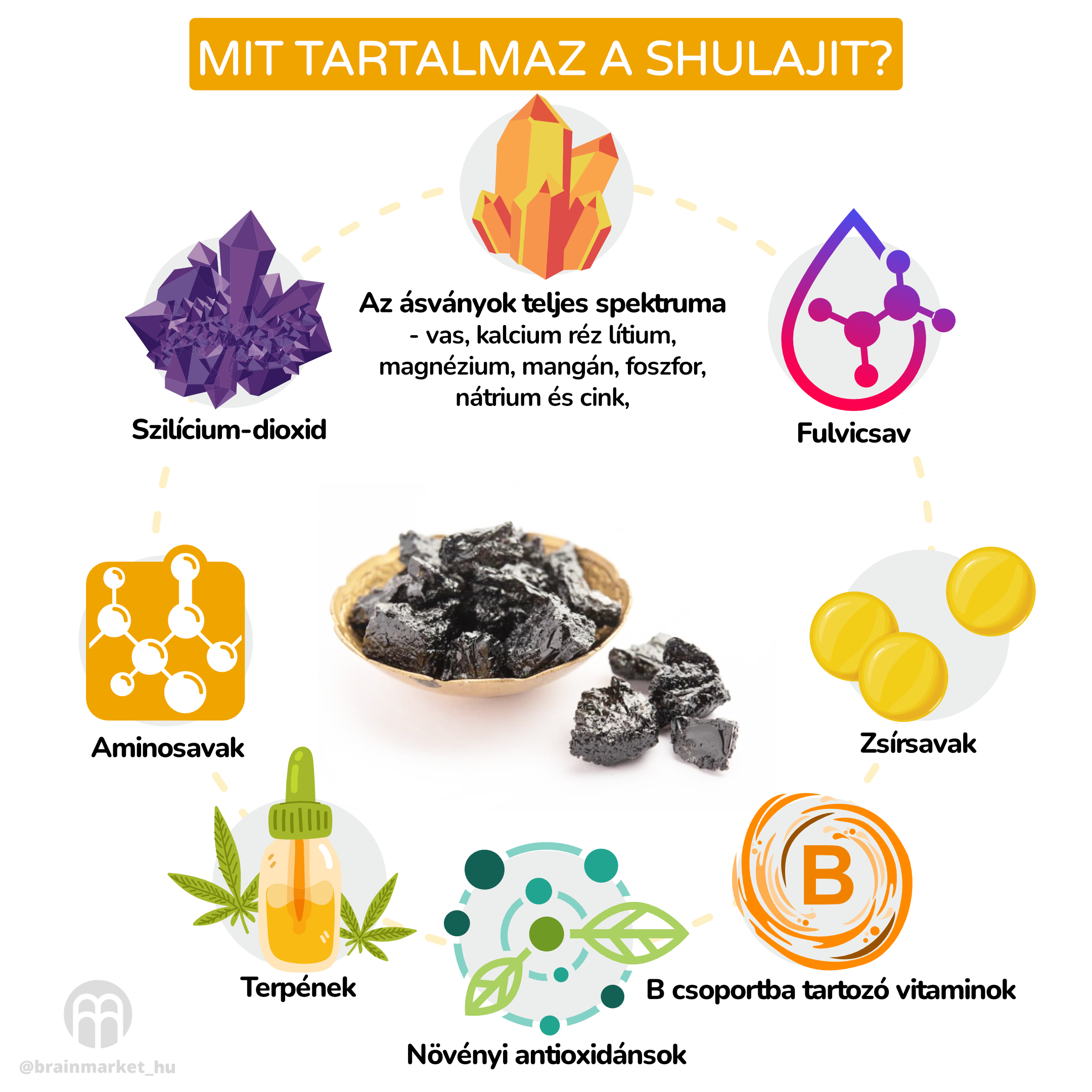 Co vše Shilajit obsahuje__inforgafika_hu